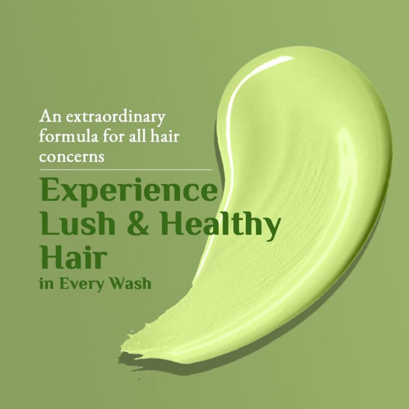 Clenom Green Apple Hair Shampoo |15ml | Customizable Logo | Black Flip top Cap.