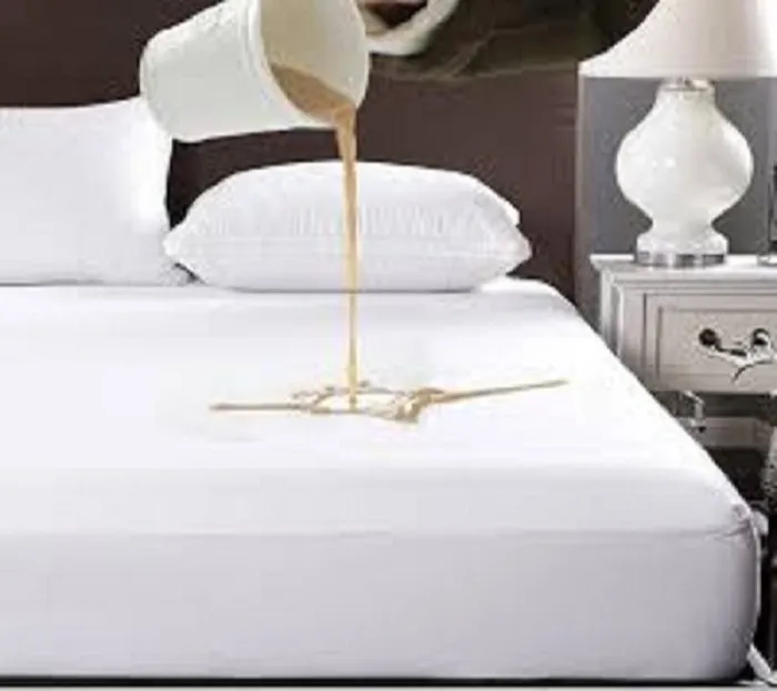 Water Proof Mattress Protector / Mattress Cover